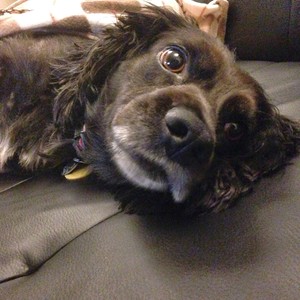 MargaretNelson's avatar